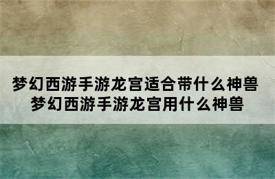 梦幻西游手游龙宫适合带什么神兽 梦幻西游手游龙宫用什么神兽